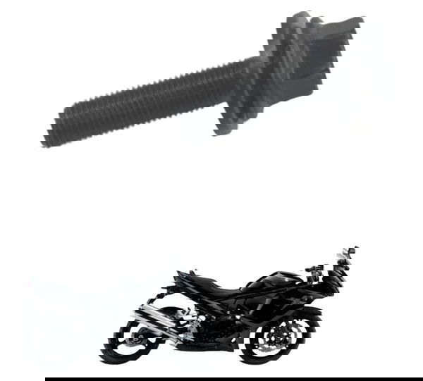 Parafuso Volante Magneto Suzuki Gsx 650 F 09-15 Original