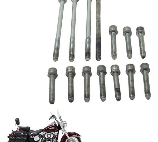Parafusos Tampa Prima Harley Softail Heritage Classic 11-15
