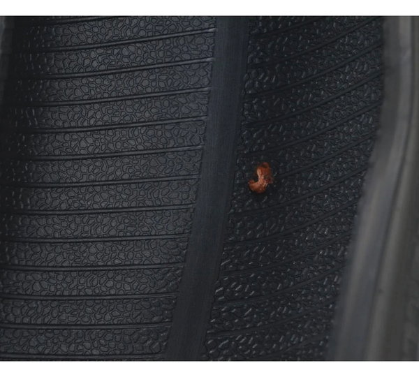 Pneu Pirelli Angel 180/55 Zr M/c 73 W Remendado