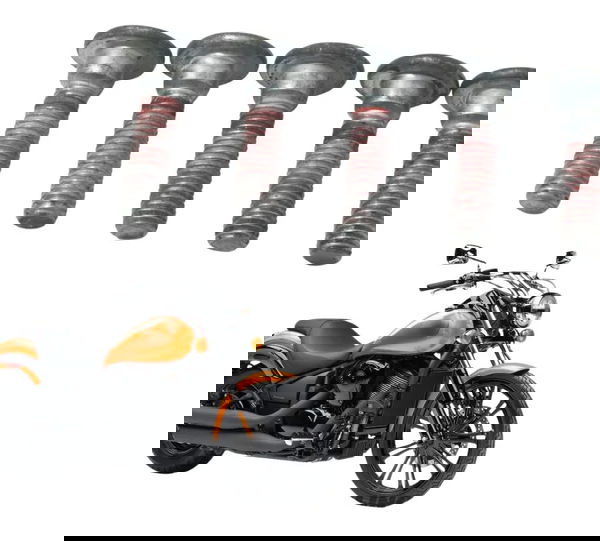 Kit Parafuso Disco Freio Kawasaki Vulcan Custom 900 09-15