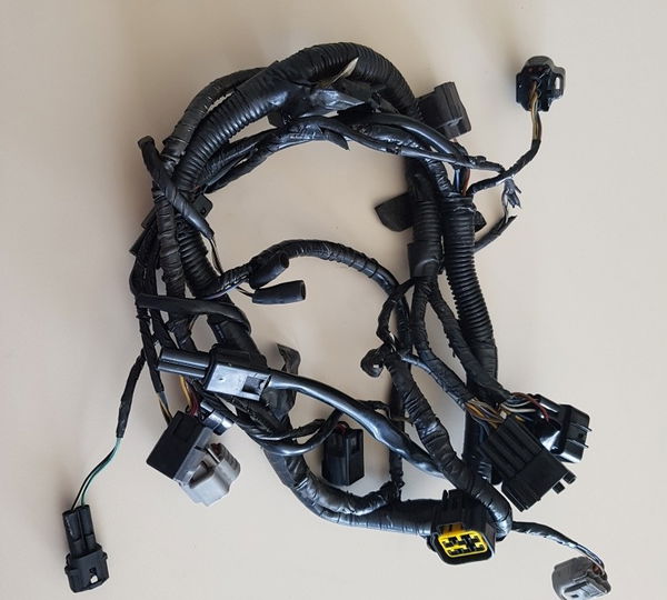 Chicote Injeção B Zx 12r Kawasaki Ninja 00a06 Original