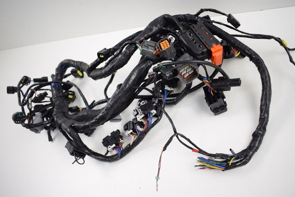 Chicote Principal Tiger 1200 Explorer 12-17 (s/plug Painel)