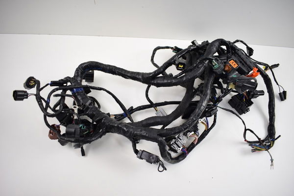 Chicote Principal Tiger 1200 Explorer 12-17 (s/plug Painel)