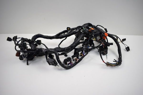 Chicote Principal Tiger 1200 Explorer 12-17 (s/plug Painel)
