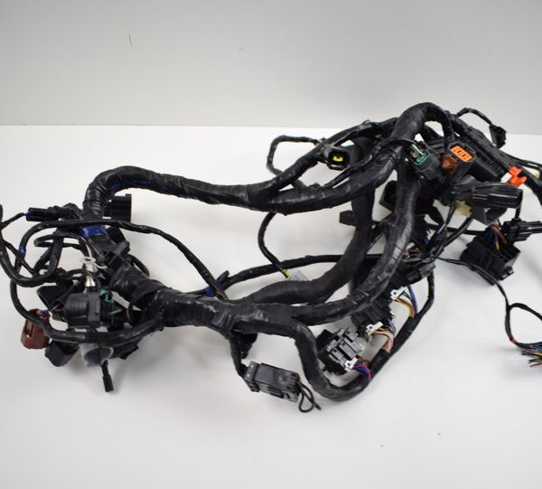 Chicote Principal Tiger 1200 Explorer 12-17 (s/plug Painel)