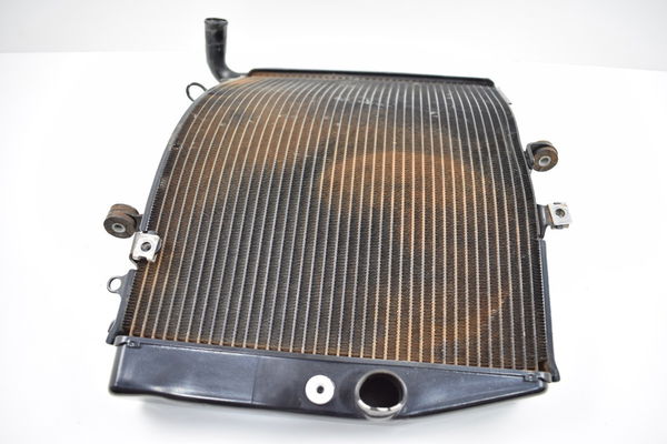 Radiador Honda Cbr 600rr 600 Rr 07-14 Original 