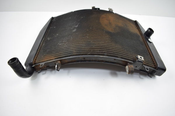 Radiador Honda Cbr 600rr 600 Rr 07-14 Original 