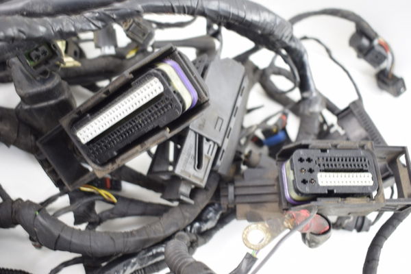 Chicote Principal Bmw R 1200 Gs 04/05/06 R1200gs Original