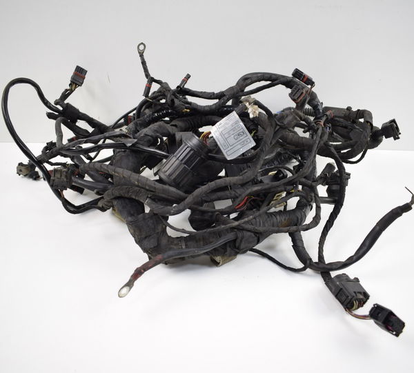 Chicote Principal Bmw R 1200 Gs 04/05/06 R1200gs Original