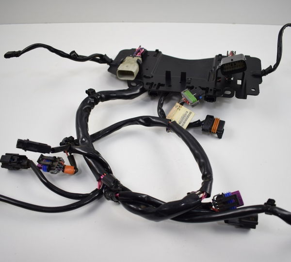 Chicote Farol Radio Harley Electra Glide Ultra Cvo 13-14