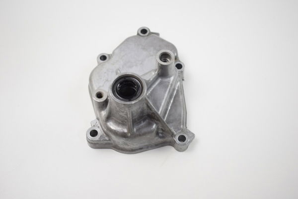Tampa Pedal Cambio Suzuki Dl 1000 V-strom 14-19