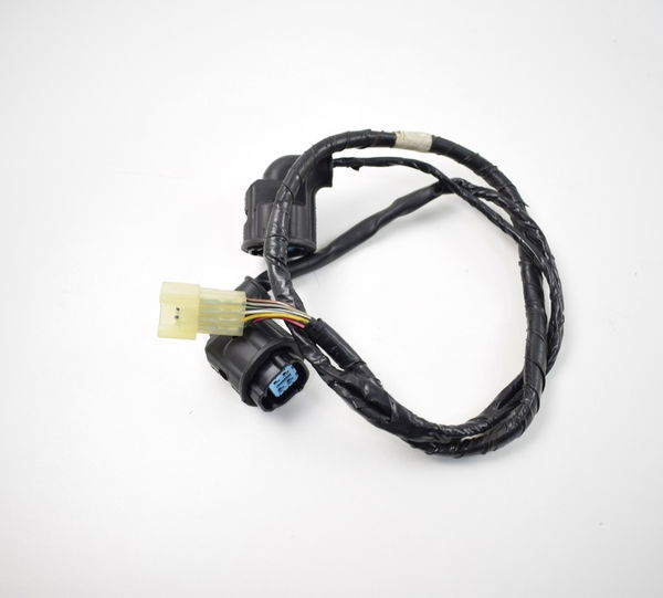 Chicote Bengala Elétrico Xt 1200z Super Tenere 2016  