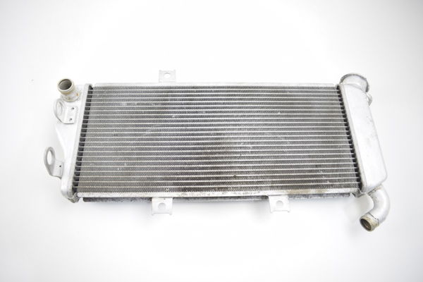 Radiador Original Kawasaki Ninja 650r Er6 Er-6 