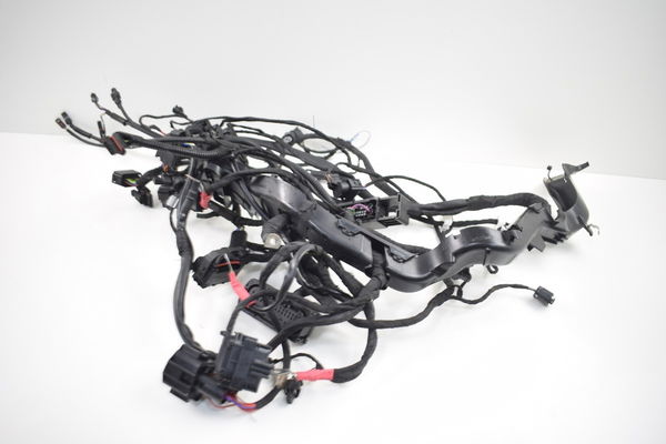Chicote Principal Elétrico Bmw R 1250 Gs R 1250gs 19-20