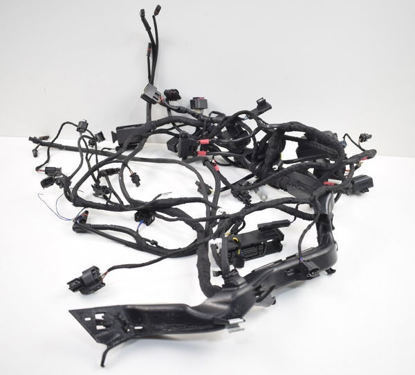 Chicote Principal Elétrico Bmw R 1250 Gs R 1250gs 19-20