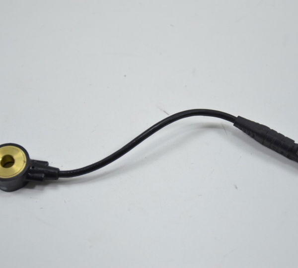 Sensor Detonação Harley Road Glide 2020 114