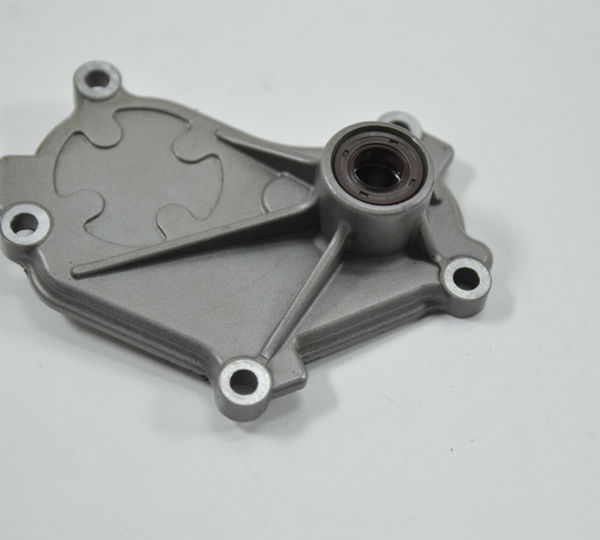 Tampa Eixo Seletor Cambio Ducati Panigale 1199 2013