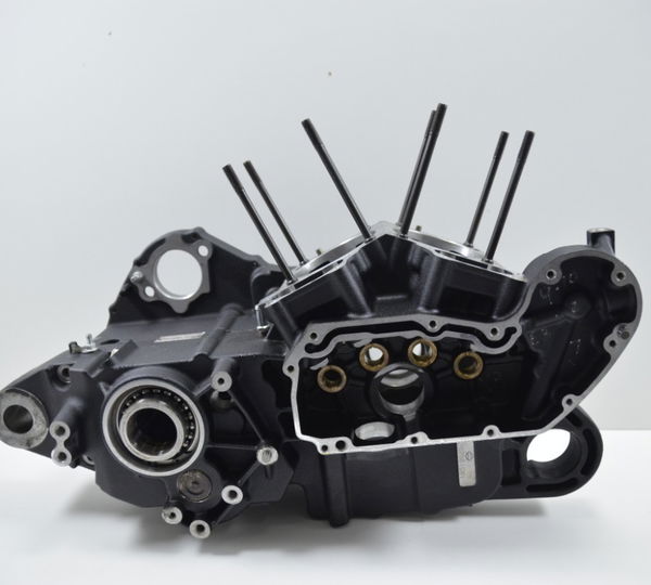 Bloco Motor Nfe Baixa 2019 Harley 883 R Iron Original