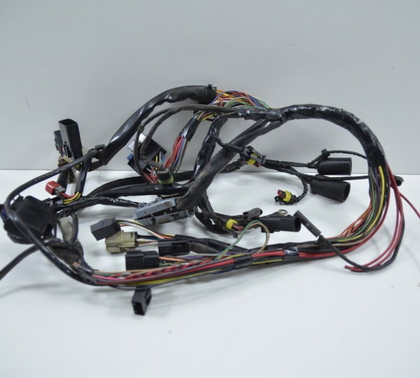 Chicote Principal Harley 883 R Original