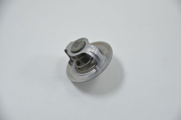 Válvula Termostatica Kawasaki Zx 10r Zx-10r 16-19 Original