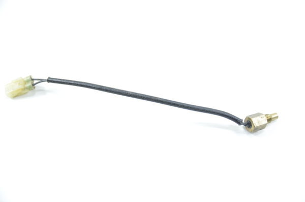 Sensor Temperatura Motor Ducati X Diavel 2017 Original