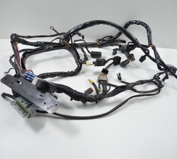 Chicote Completo Harley Softail Deluxe 1450 2005