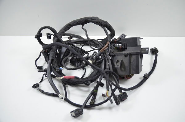 Chicote Principal Bmw S 1000rr 1000 Rr 15-19