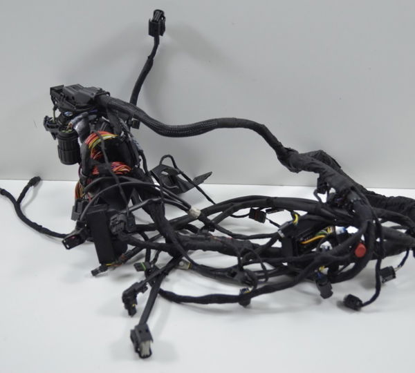 Chicote Principal Bmw S 1000rr 1000 Rr 15-19