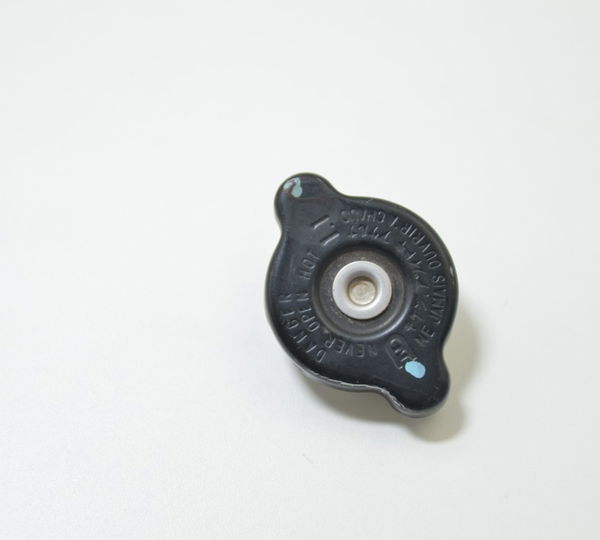 Tampa Radiador Kawasaki Versys 1000 2020 Original