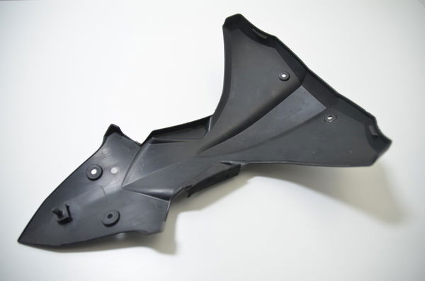 Acabamento Frontal Bolha Kawasaki Versys 1000 2020 Original