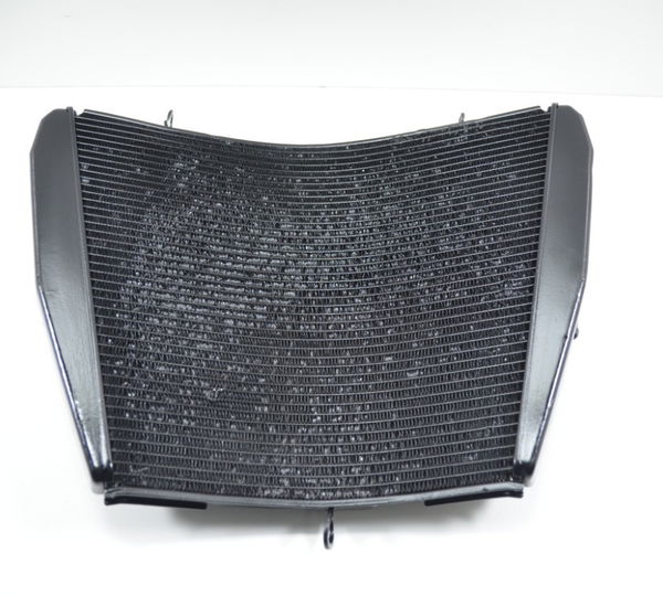 Radiador Agua Honda Cbr 1000rr 1000 Rr 12-15 Original