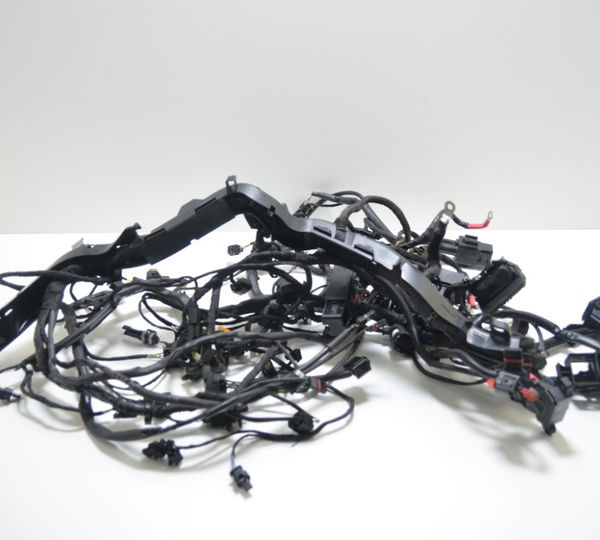 Chicote Principal Bmw R1250 R 1250 Gs Adv Hp 2020 Original