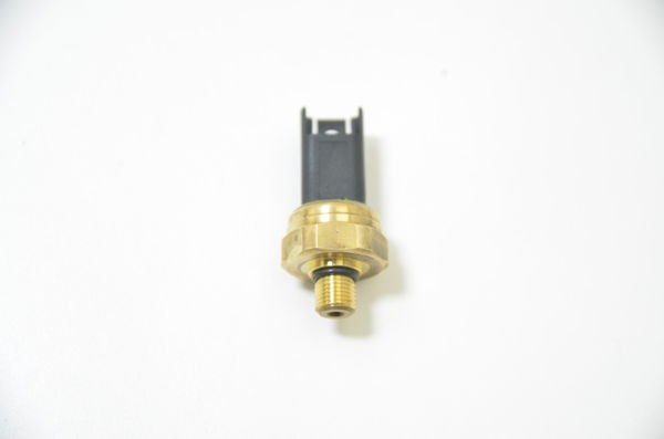 Sensor Pressão Gasolina Bmw R1250 R 1250 Gs Adv Hp 2020