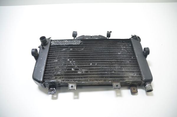 Radiador Agua C/avaria Yamaha Tdm 850 1998 Original