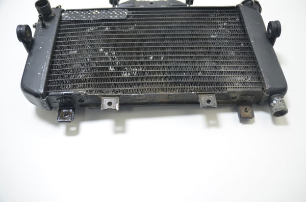 Radiador Agua C/avaria Yamaha Tdm 850 1998 Original