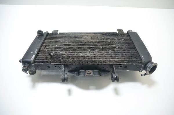 Radiador Agua C/avaria Yamaha Tdm 850 1998 Original