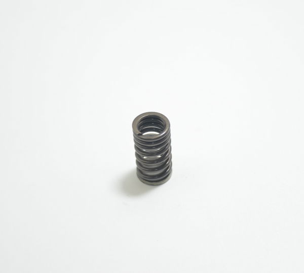 Mola Válvula Suzuki Gsx-r Srad 750 11-14 Original