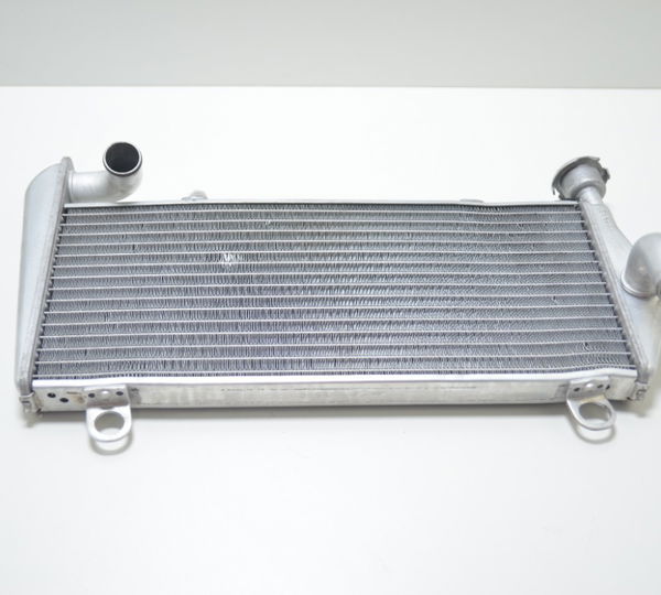 Radiador Agua Ducati Panigale 1299 S 2017 Original