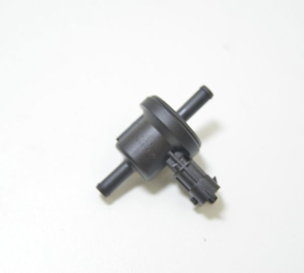 Filtro Canister Ducati Panigale 1299 S 2017 Original