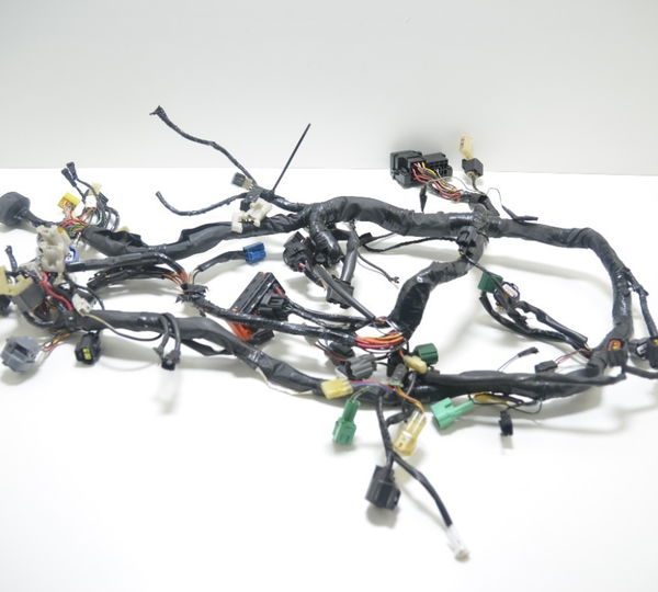 Chicote Principal Completo Burgman 650 2007 Usado Original