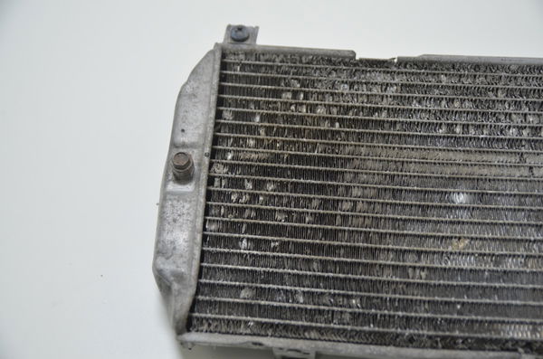 Radiador C/avaria Burgman 650 Burgman650 2007 Usado Original