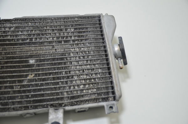 Radiador C/avaria Burgman 650 Burgman650 2007 Usado Original