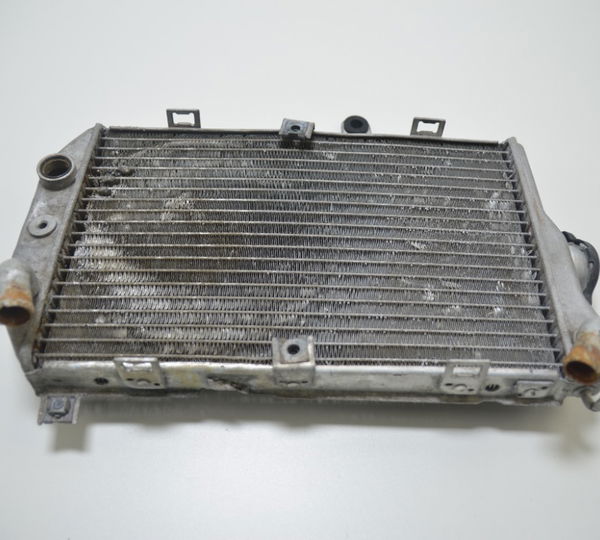 Radiador C/avaria Burgman 650 Burgman650 2007 Usado Original