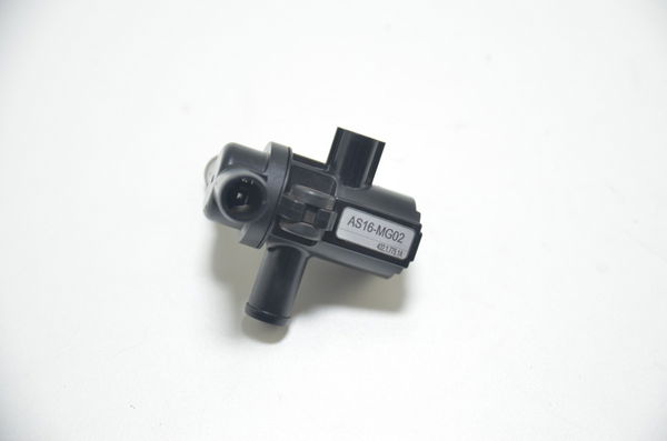 Valvula Soleine Ducati Multistrada 1200 2015 Original