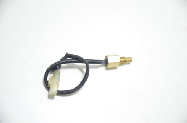 Sensor Temperatura Ducati Multistrada 1200 2015 Original