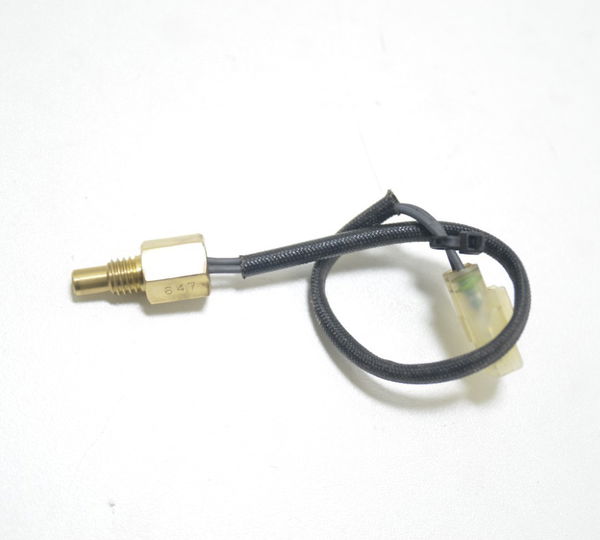 Sensor Temperatura Ducati Multistrada 1200 2015 Original