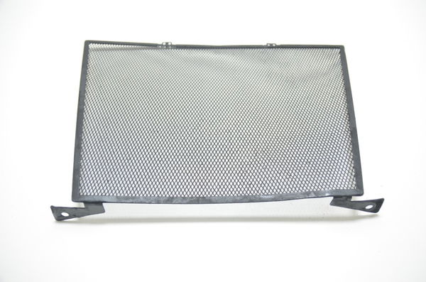 Grade Tela Radiador Agua Bmw S1000 S 1000 Xr 2017 Original