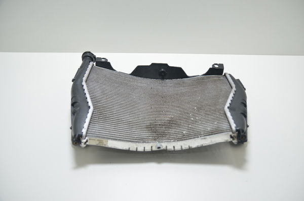 Radiador Com Avaria Bmw S1000 S 1000 Xr 2017 Original