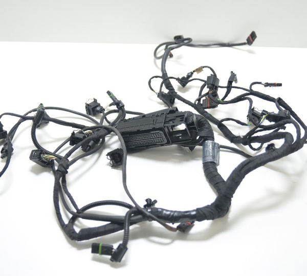 Chicote Injeção Segundario Bmw S1000 S 1000 Xr 2017 Original