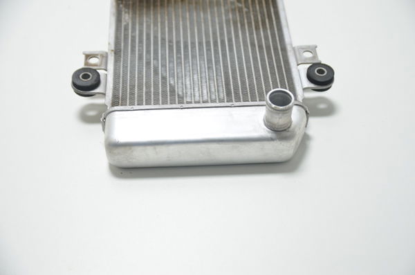 Radiador Kawasaki Ninja 250r 08-12 Orig